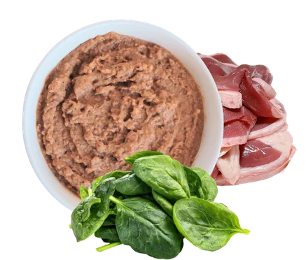 Wundercat fresh, gently cooked cat meal in a bowl with spinach leaves and fresh meat beside it
